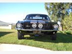 Thumbnail Photo 1 for 1967 Shelby GT500